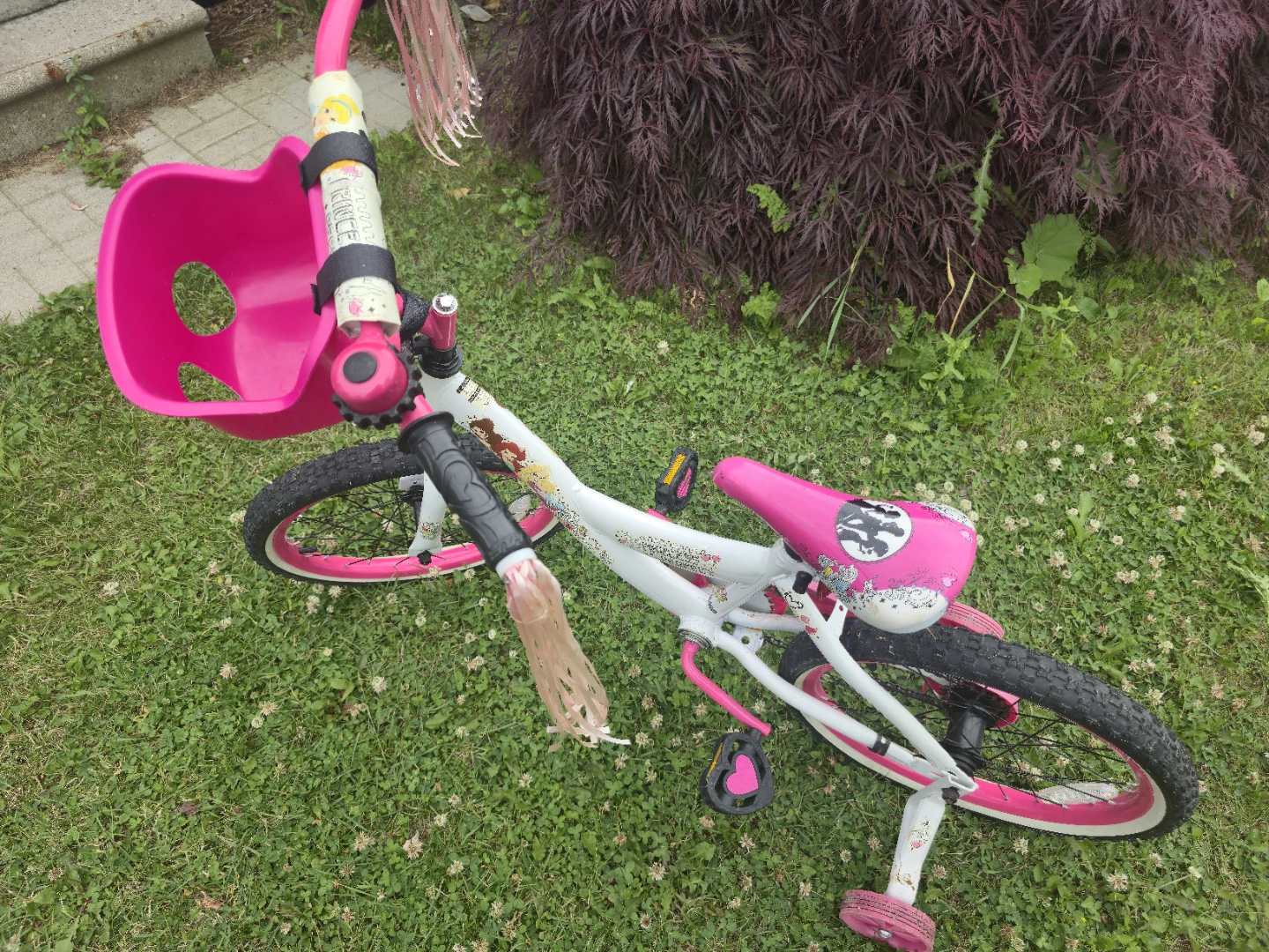 Kids Princess Bike with Training Wheels - photo 4