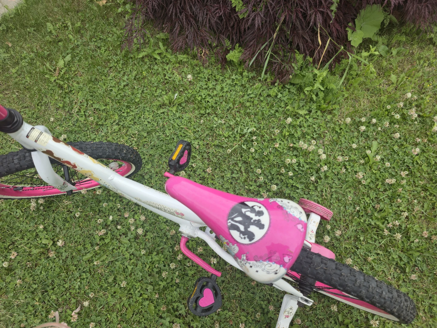 Kids Princess Bike with Training Wheels - photo 5
