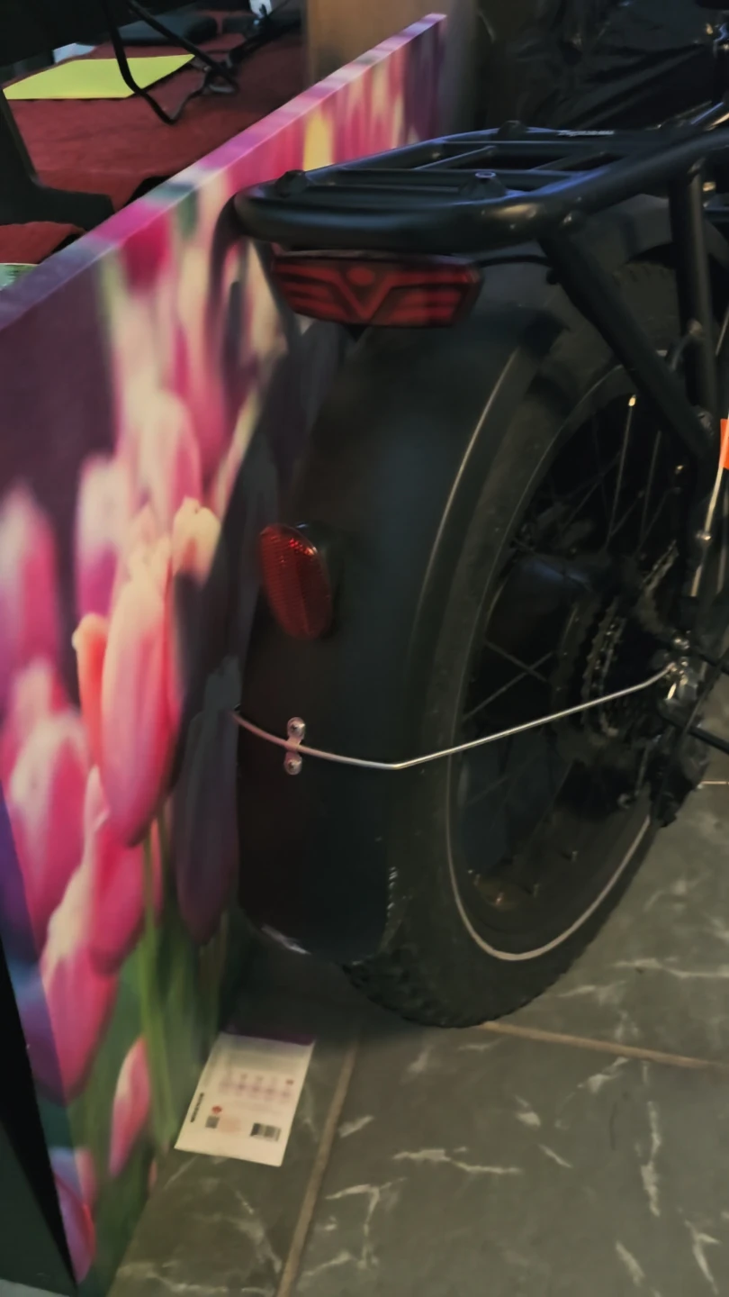Rad Power Bikes Electric Bike - photo 3