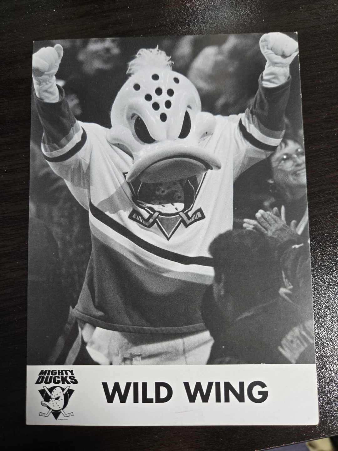 Mighty Ducks Wild Wing Mascot Card