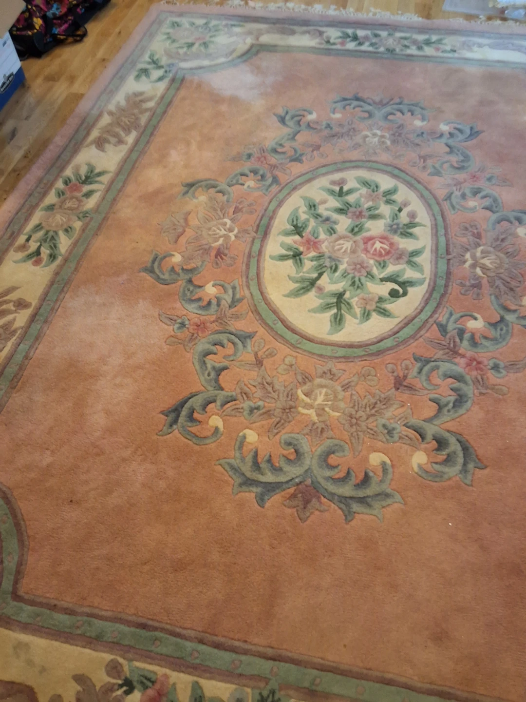 Persian Style Area Rug