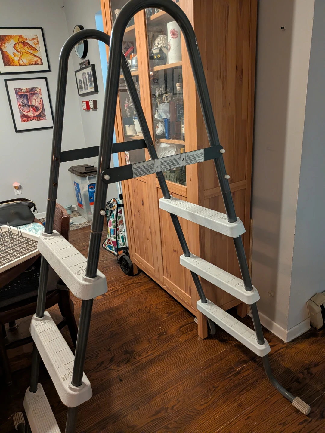 Pool Ladder