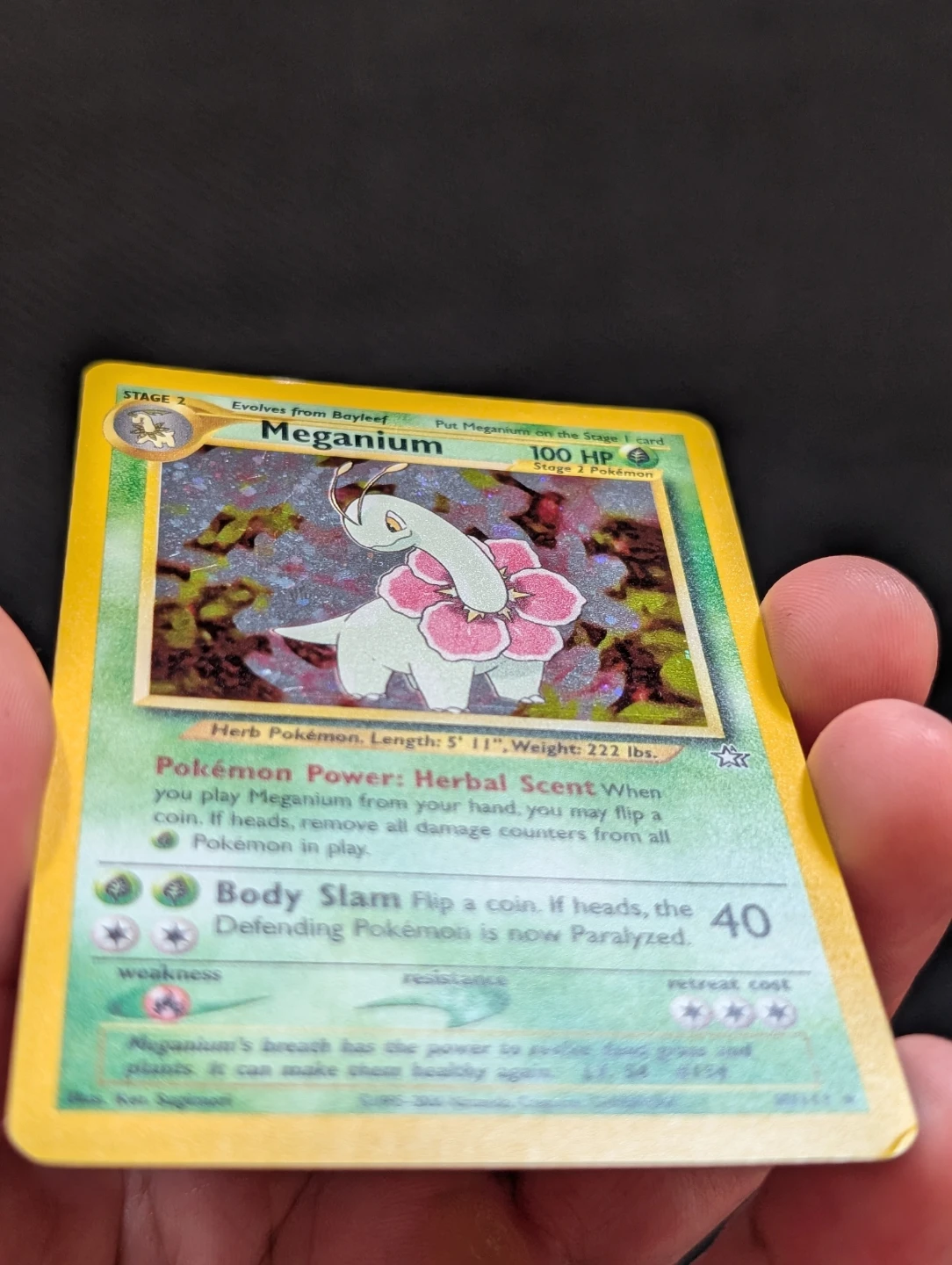 Meganium Neo Genesis Holo 10/111 - Pokemon - photo 3