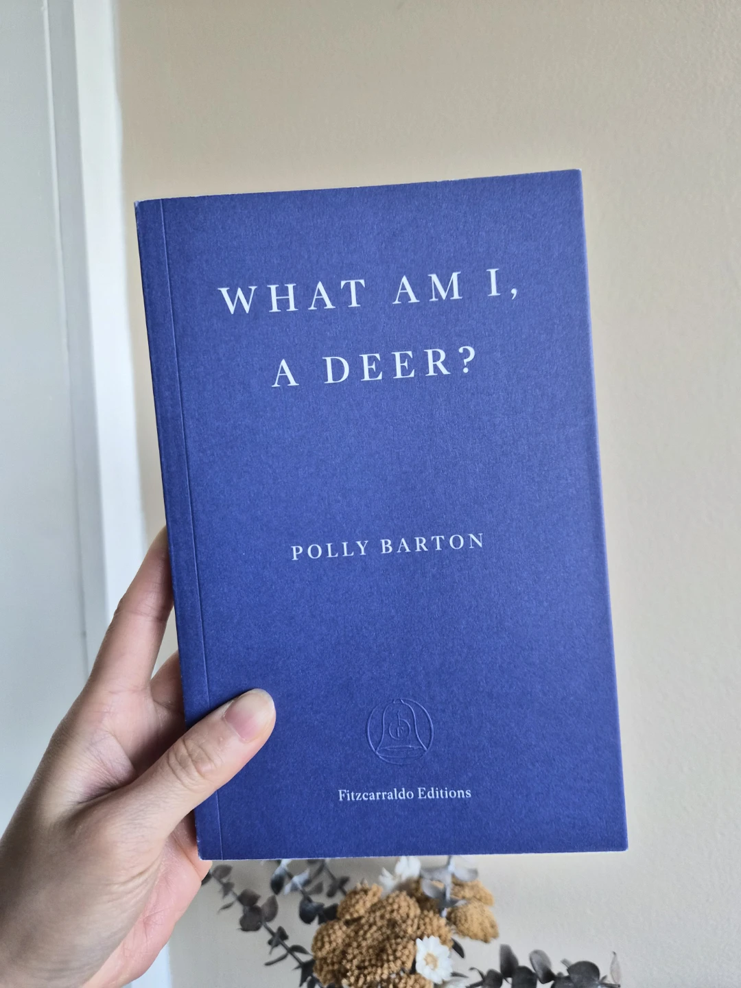 What Am I, A Deer? by Polly Barton
