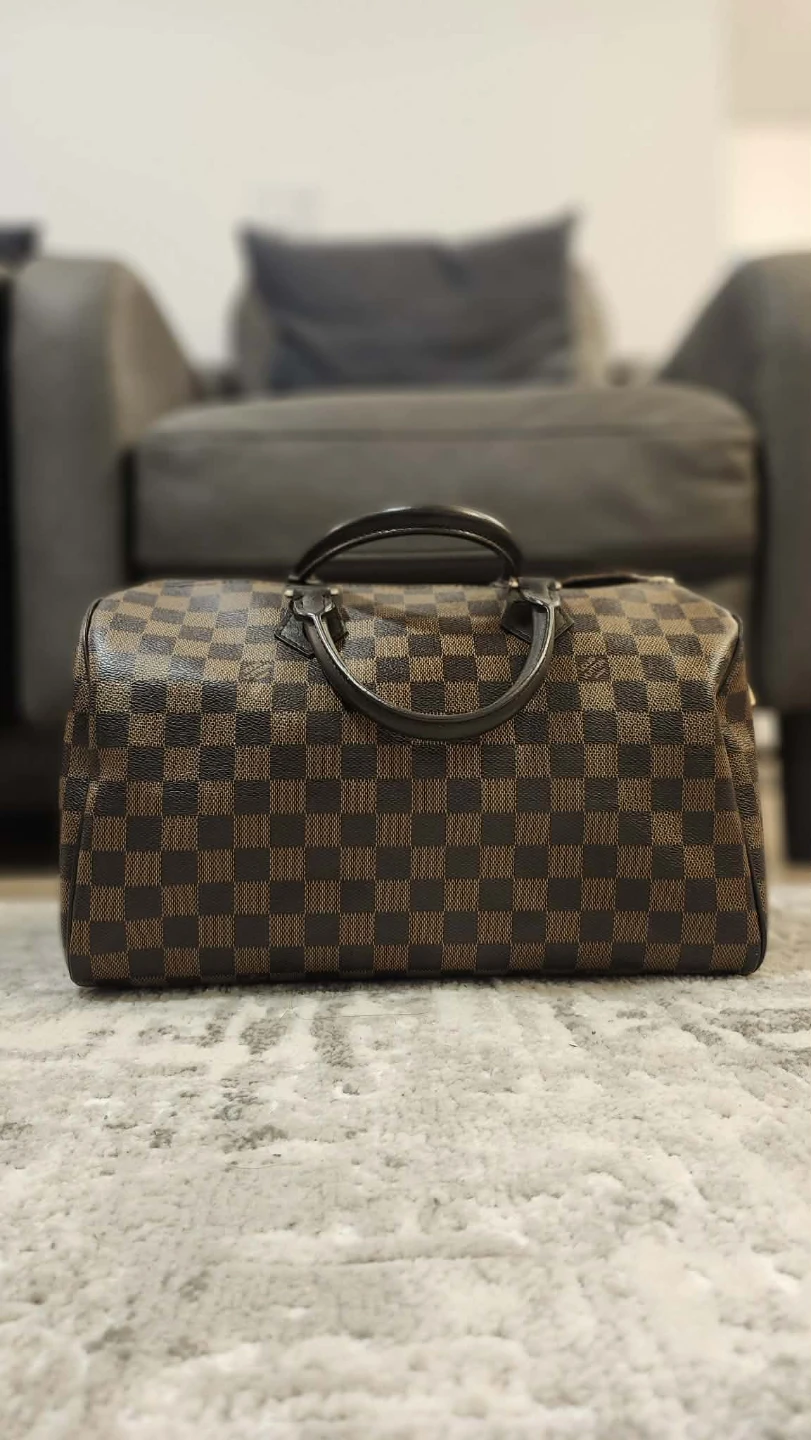 Louis Vuitton Speedy Damier Ebene Handbag