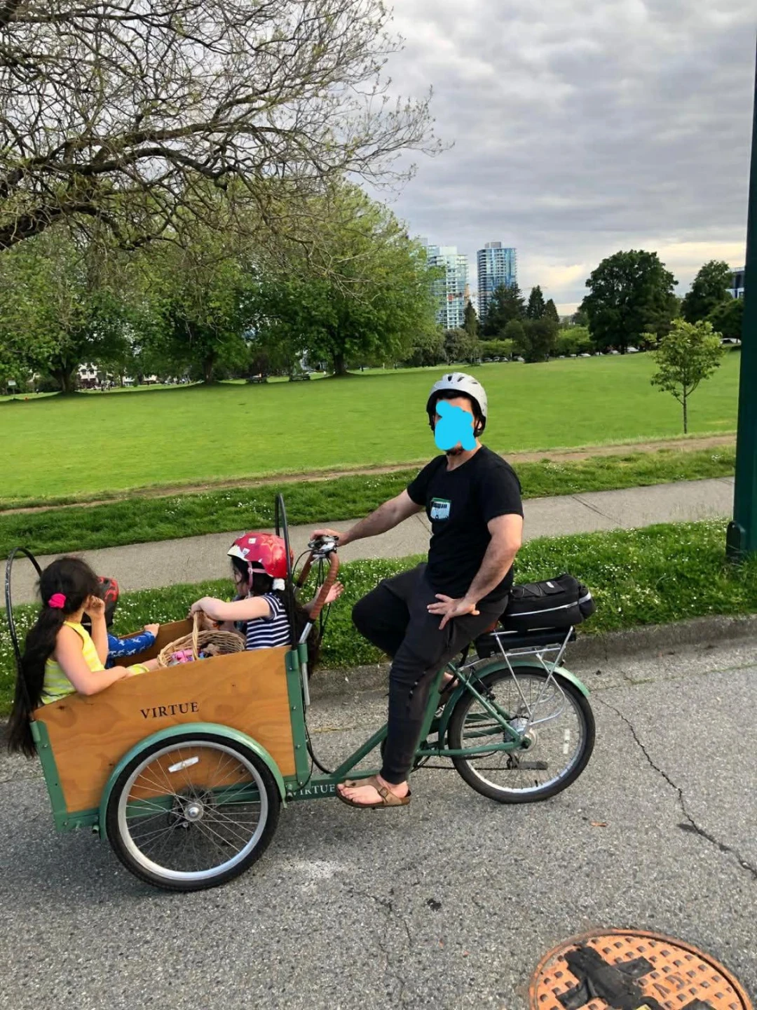 Virtue Cargo Bike - photo 2