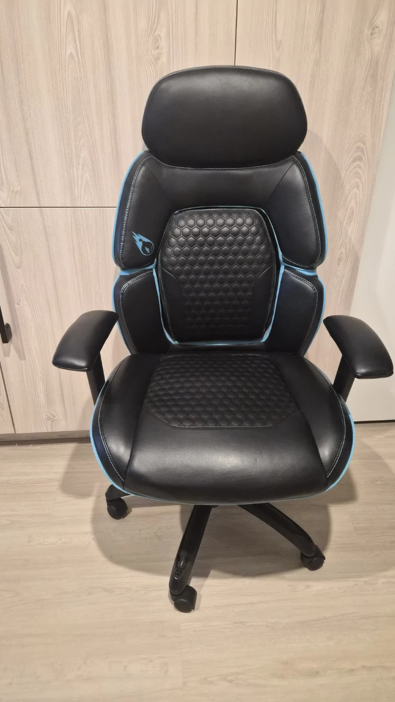 Ergonomic Gaming Chair and Electric Standing Desk - photo 3