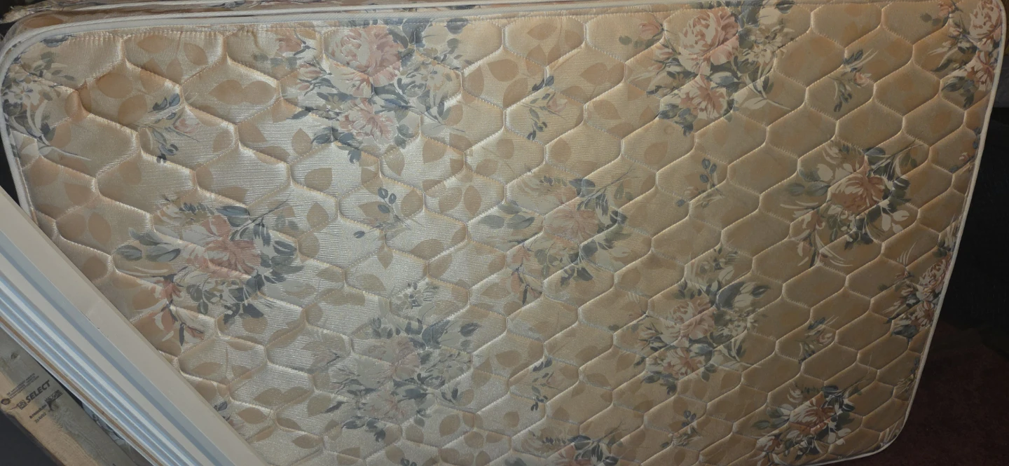 Ftee Double Sleep Factory Mattress/Boxspring set - photo 2