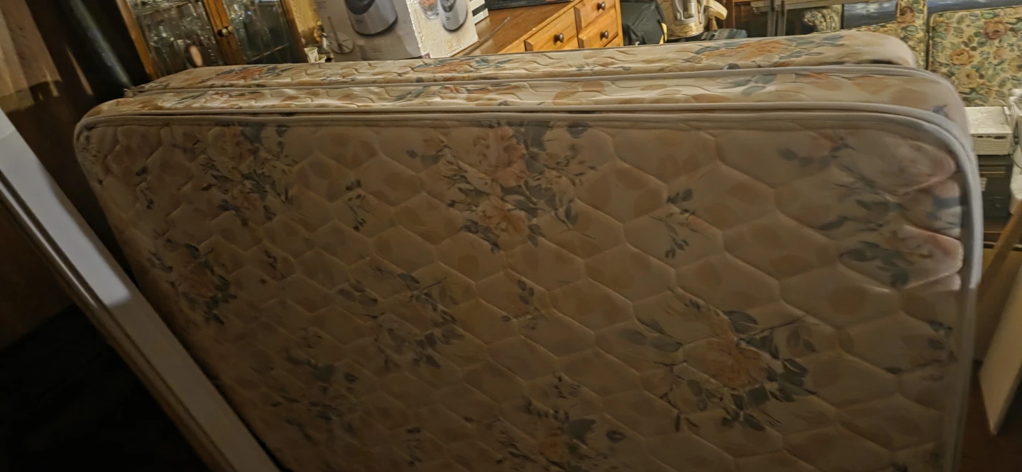 Ftee Double Sleep Factory Mattress/Boxspring set - photo 4
