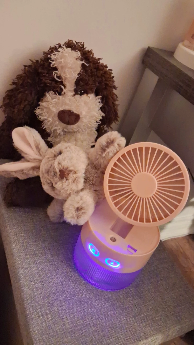 Portable Desk Fan with Humidifier - photo 3