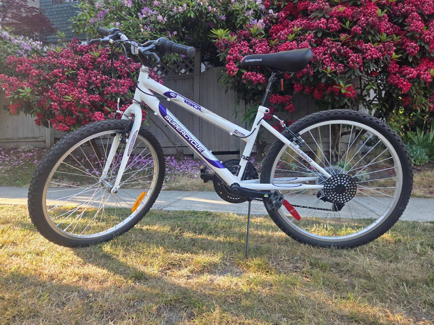 24" Mountain / City Bike - White & Purple - photo 2