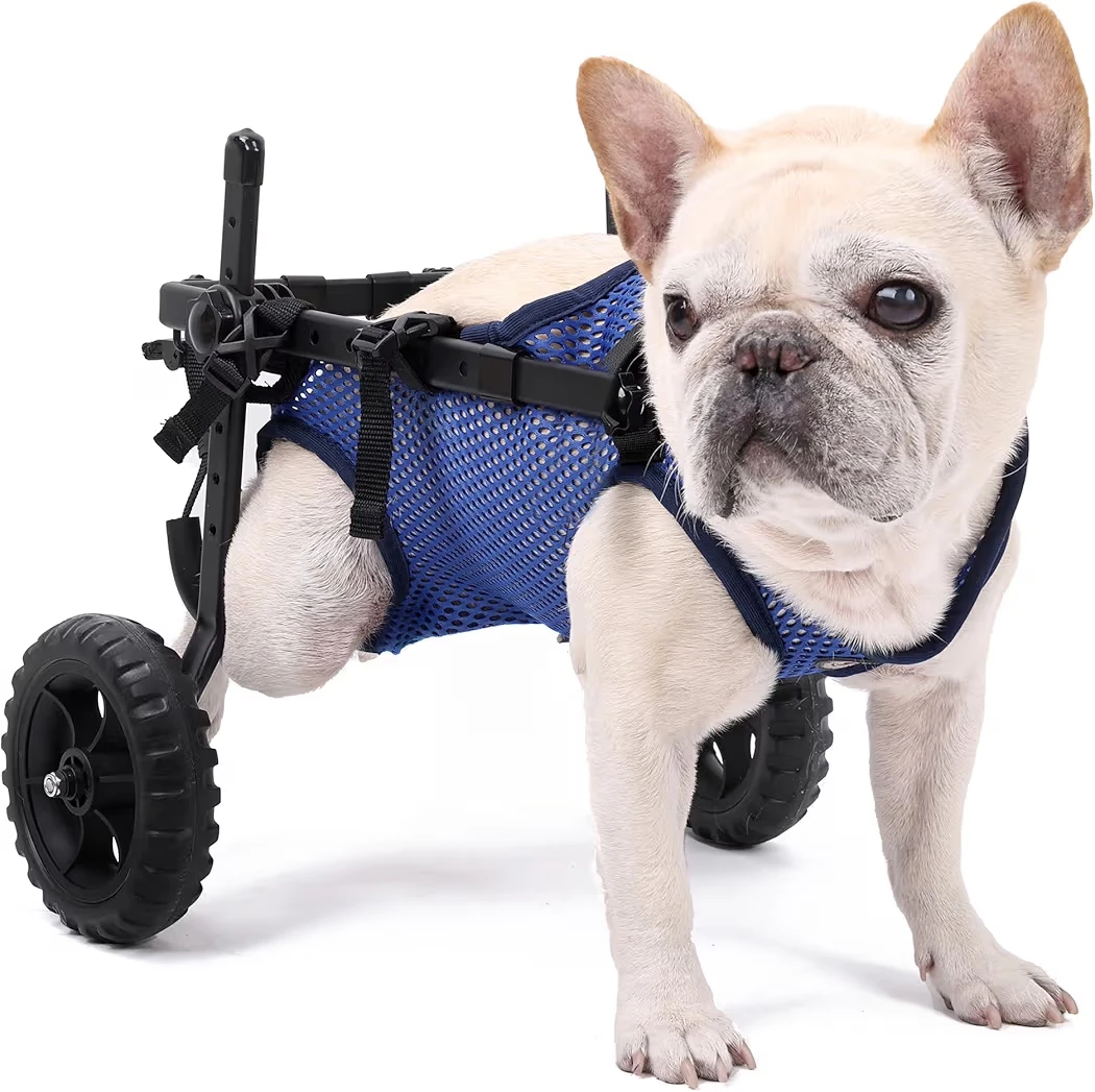 Blue Dog Wheelchair Harness