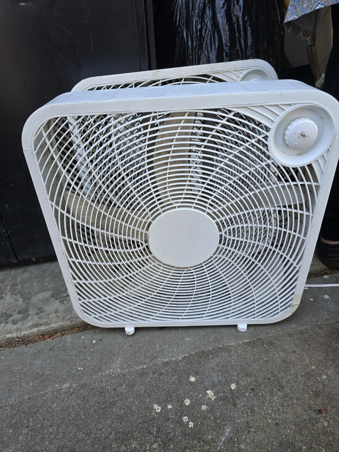 Fan