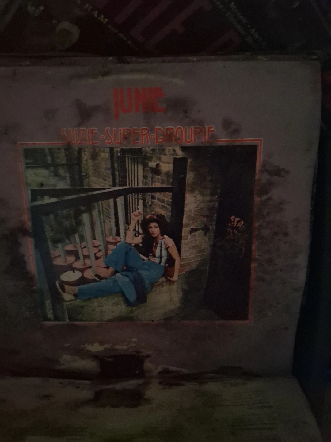 Junie Suzie Super Groupie Vinyl ⚽