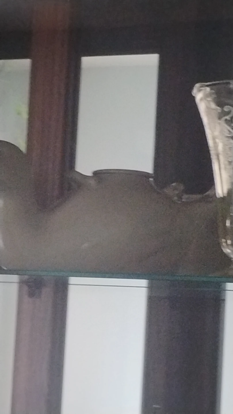 Duck  Ceramic Teapot