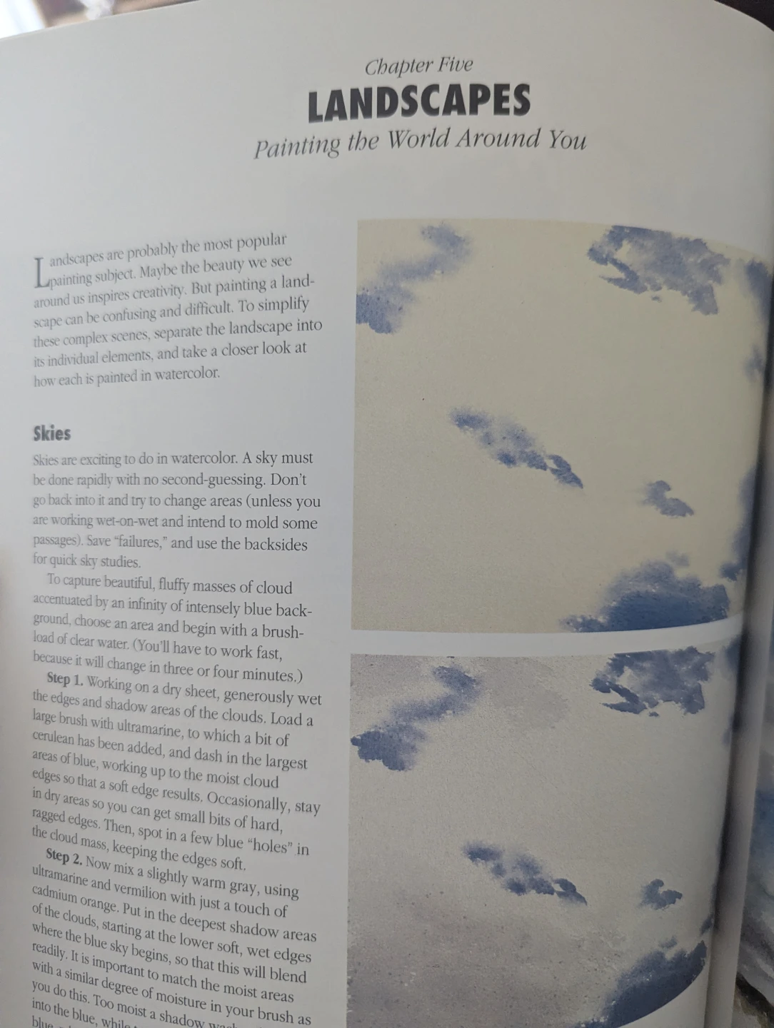 Basic Watercolor Techniques Book by Greg Albert and Rachel Wolf - photo 3
