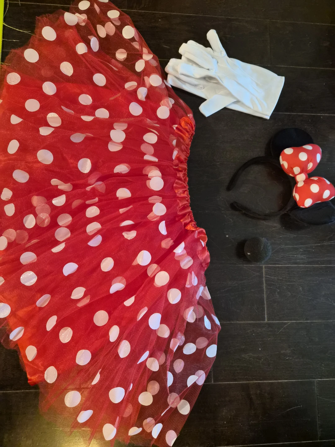 Minnie Mouse Costume Set for adult