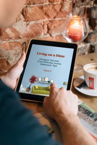 Living on a Dime: Designer Secrets Book