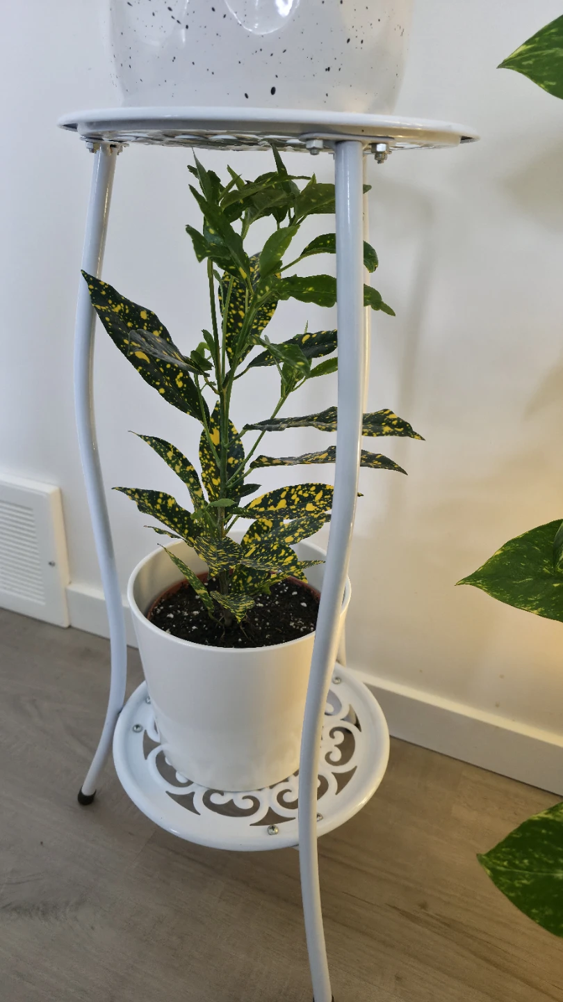 White Metal Plant Stand with Two Tiers - photo 3