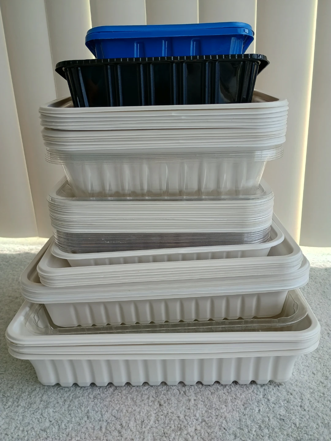 Clean plastic trays