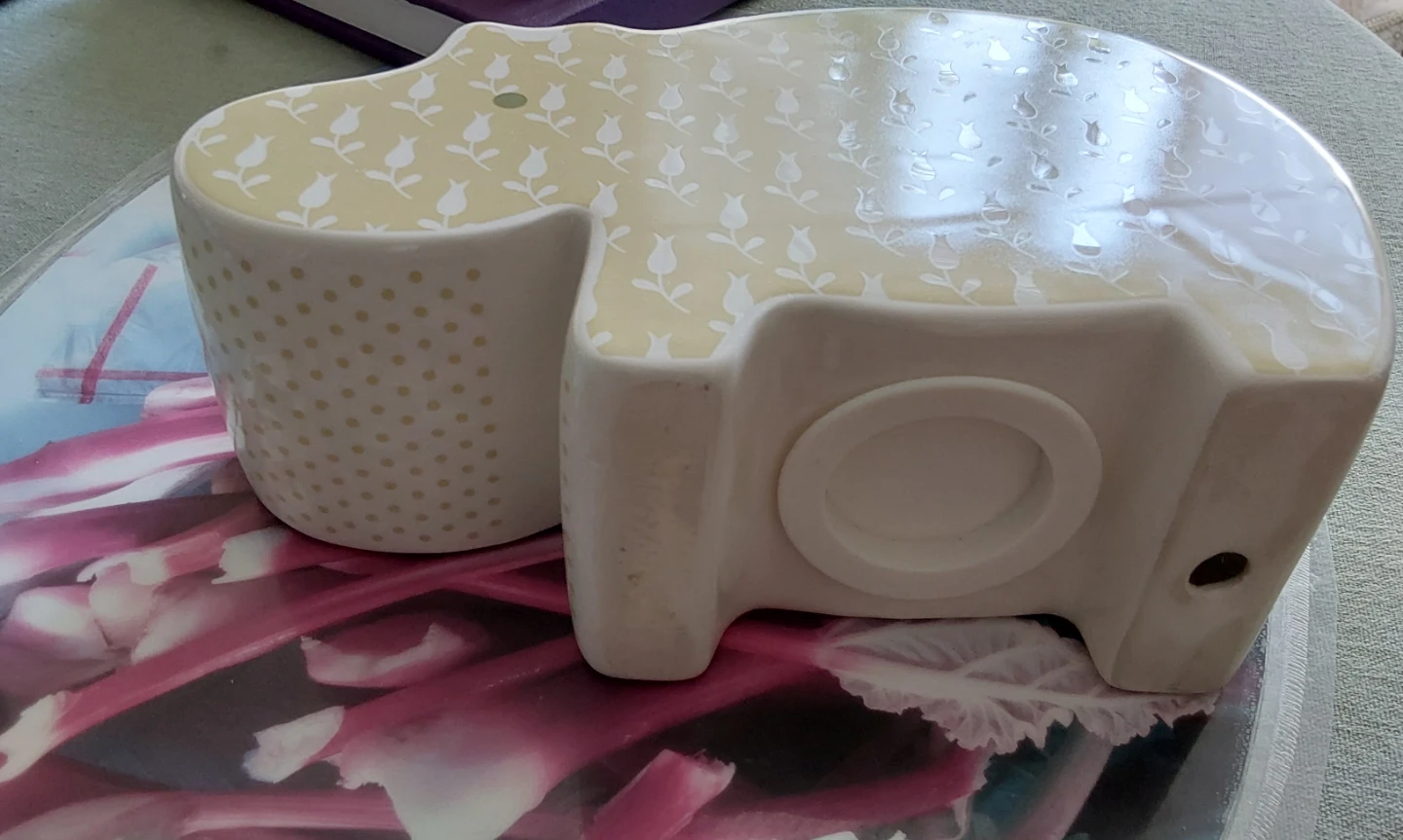Ceramic Hippo Piggy Bank purchased at CHAPTERS - photo 3