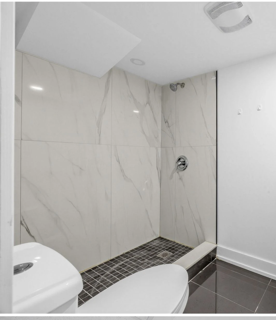 3 Room + 2 bath Separate Entry Basement Walmart/Durham College - photo 3