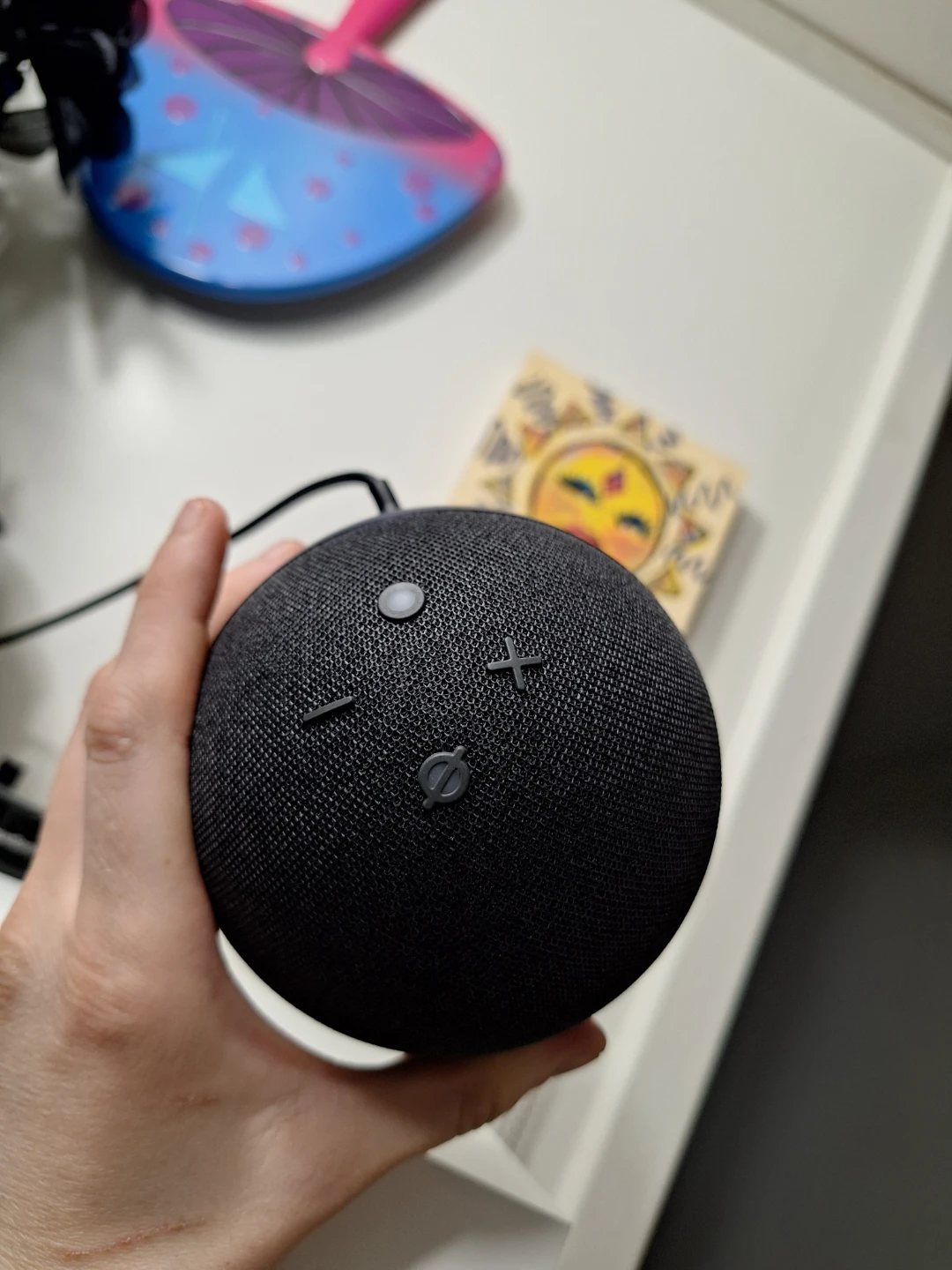 Amazon Echo Dot (newest model)