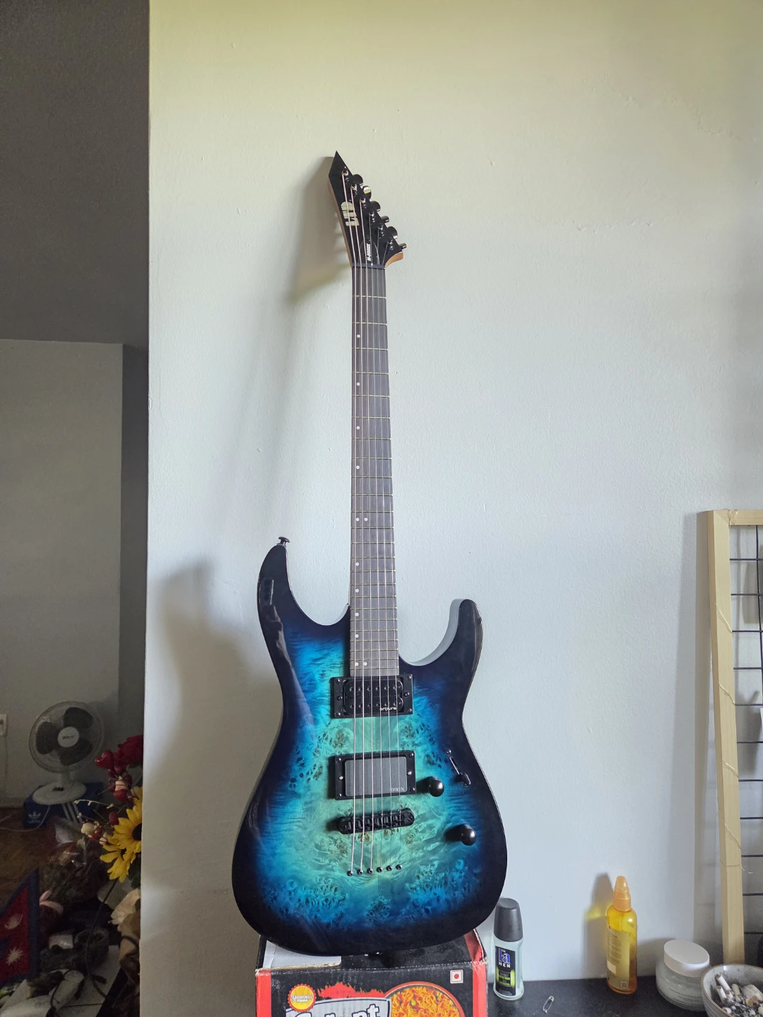 LTD m200 dx