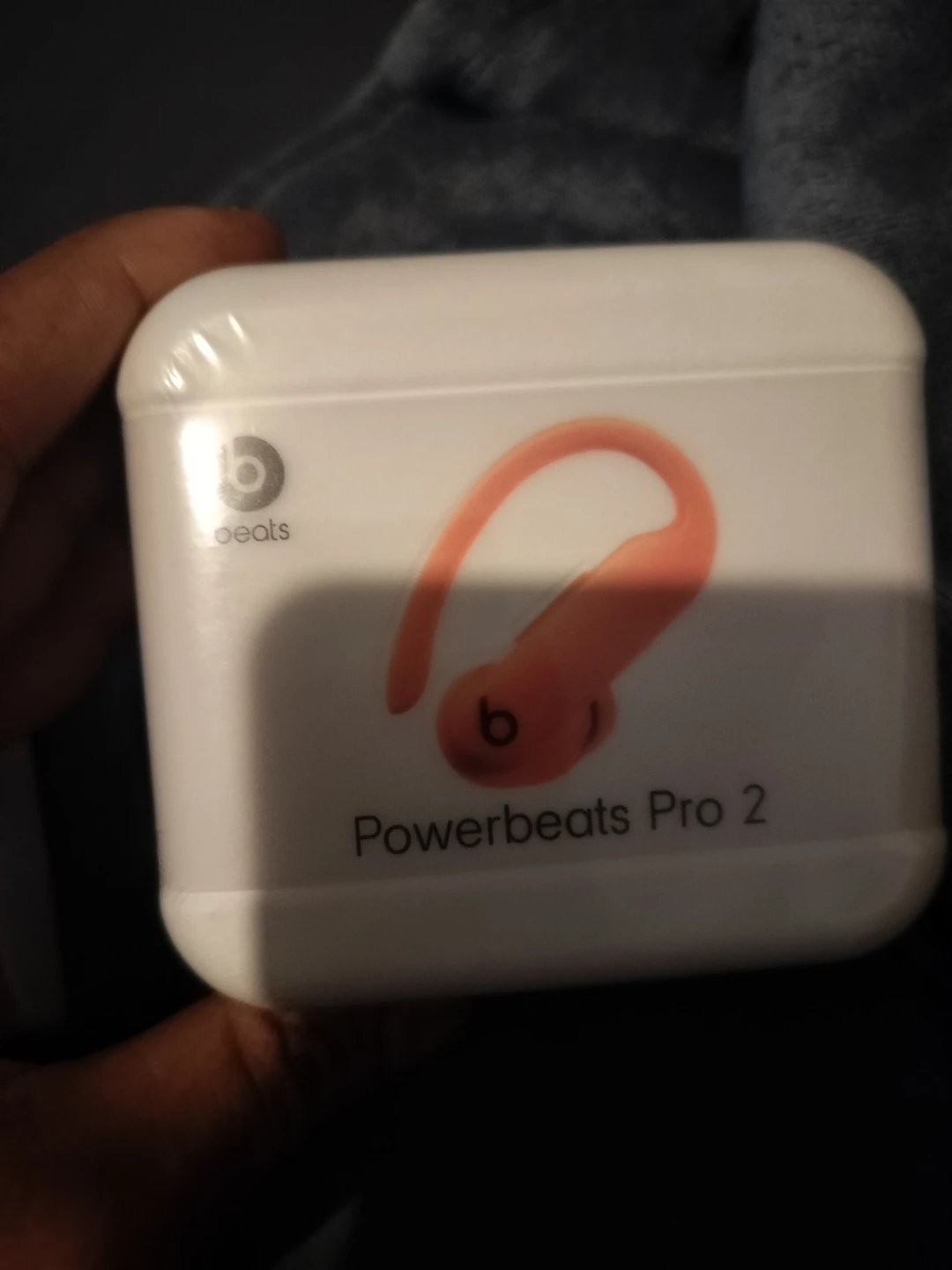 Beats Powerbeats Pro 2 True Wireless Earbuds - photo 2