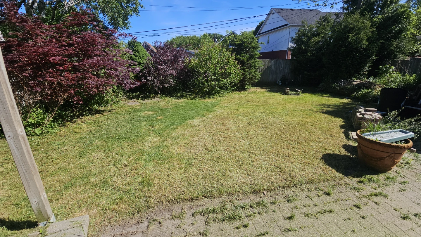 Lawn Maintenance - photo 2