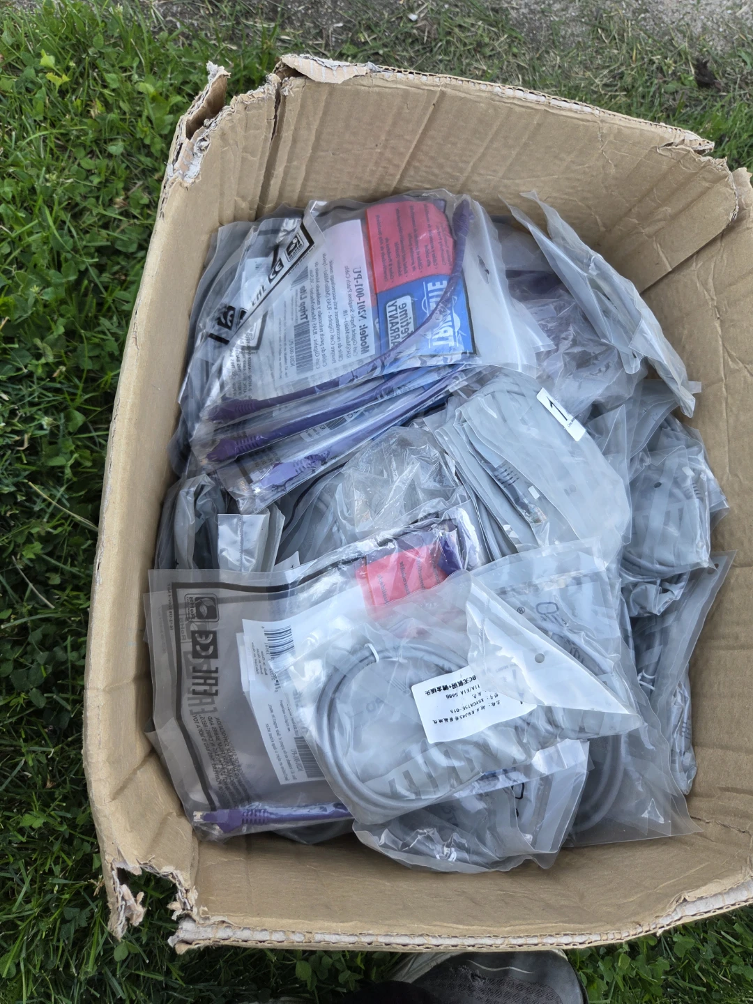 BOX OF NEW CAT5 CABLES - photo 2