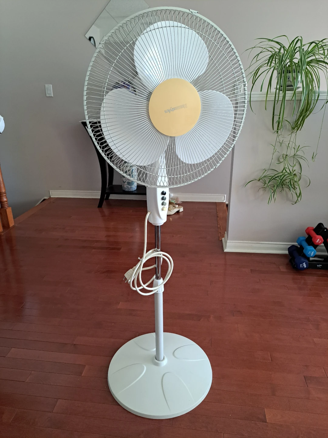 Homestyles Pedestal Fan