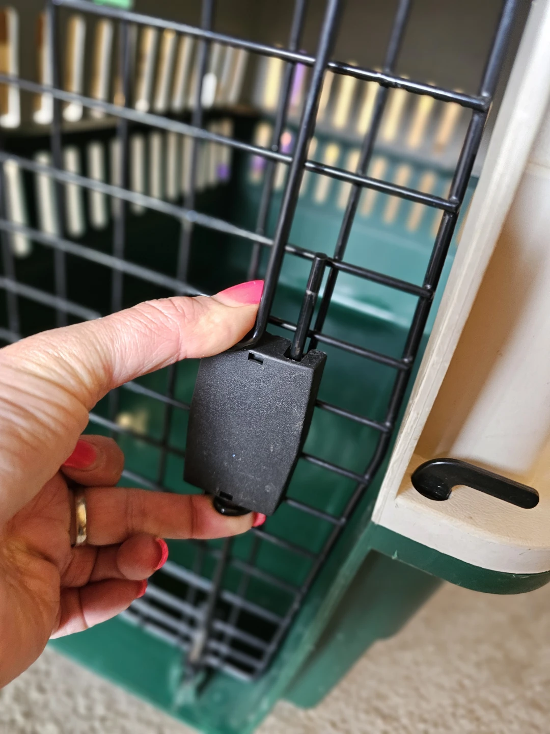 Remington Pet Carrier - photo 2