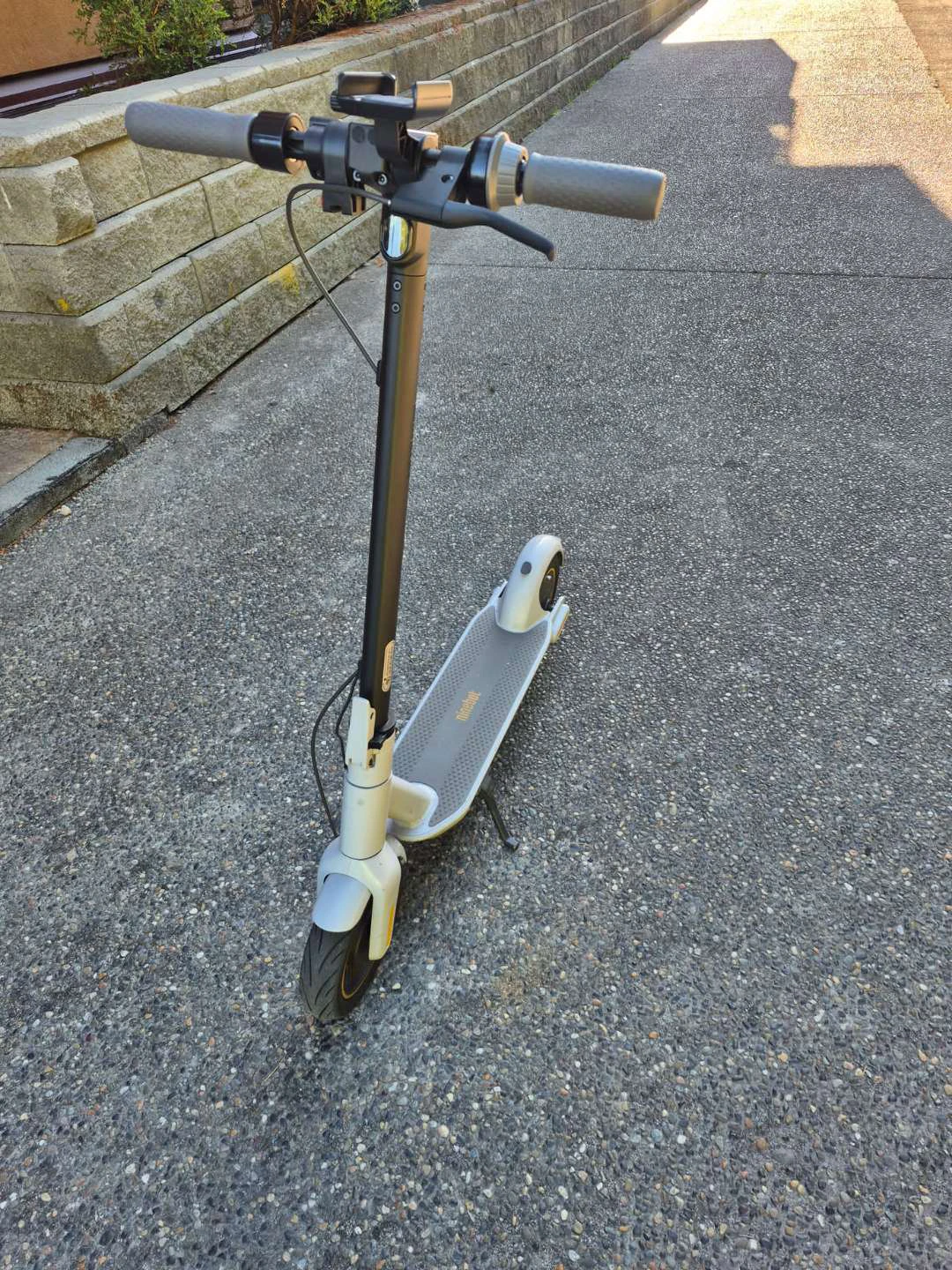 Ninebot Electric Scooter