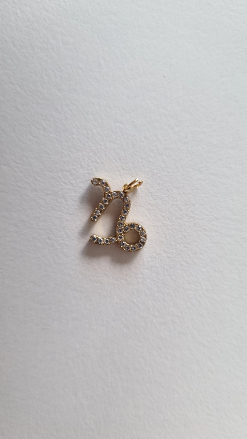 Zodiac charms for necklaces & bracelets - photo 2