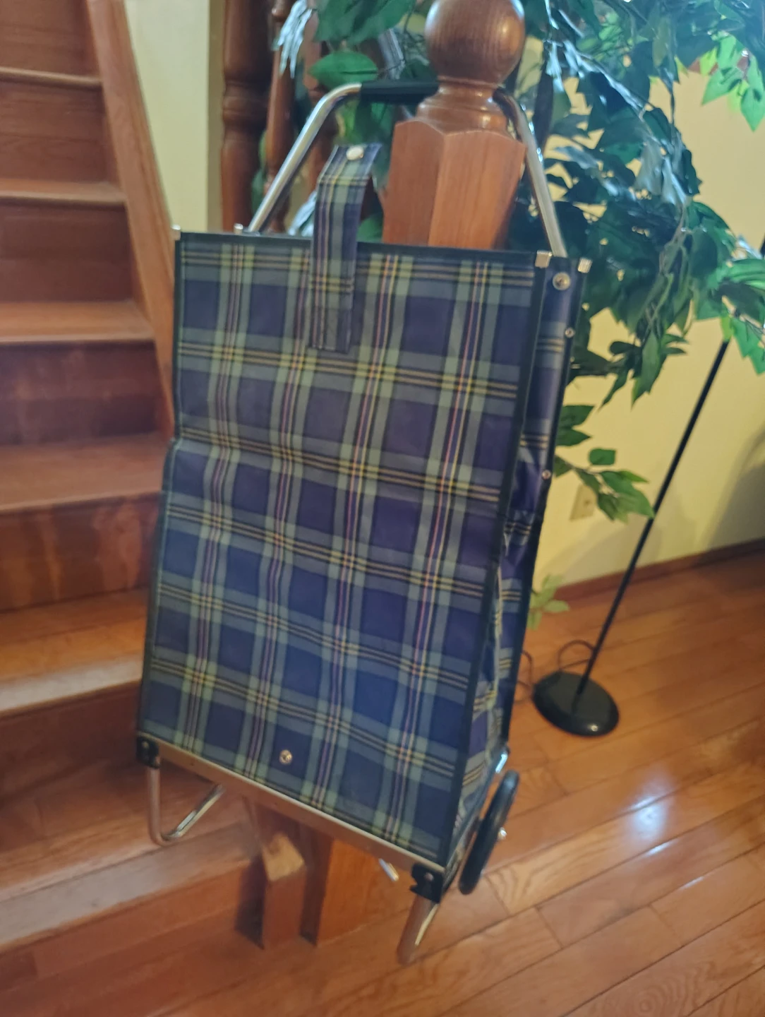 Tartan Shopping Cart - photo 5