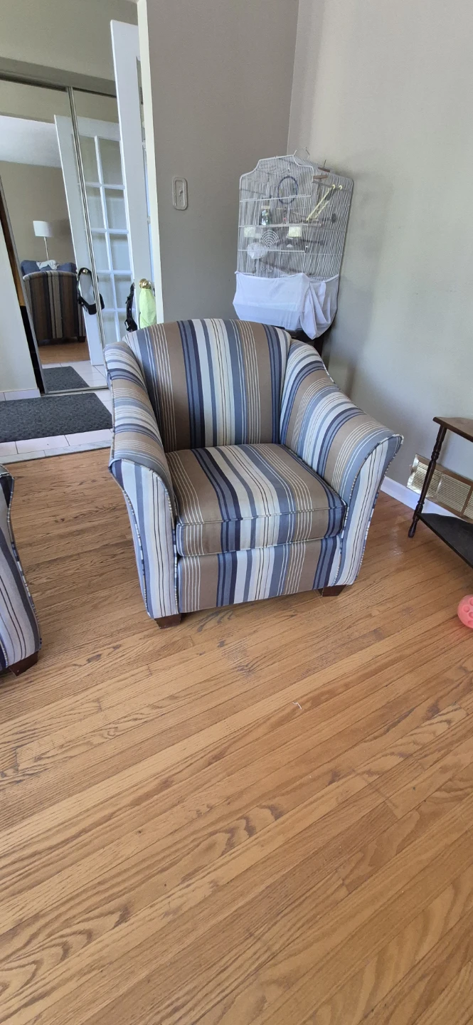 Striped Accent Chairs - Set of 2 - photo 3