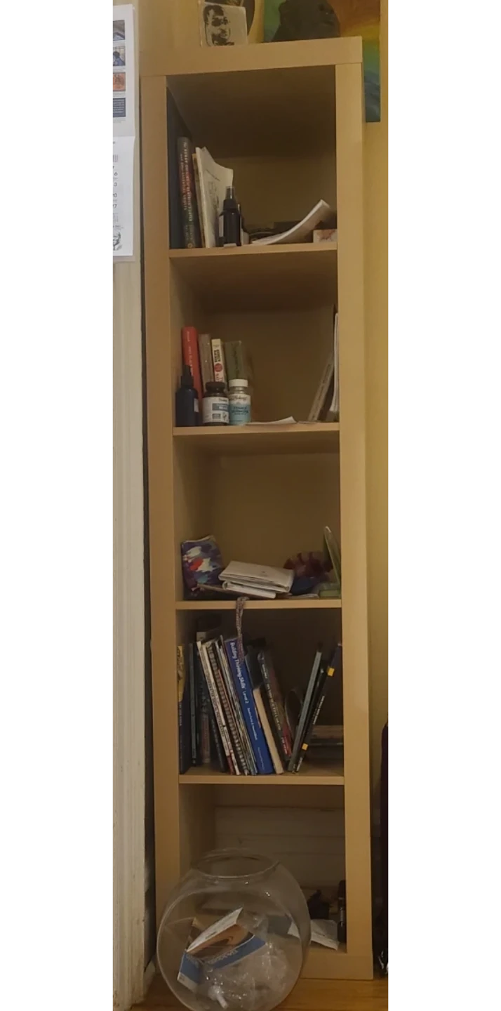 Tall Wooden Bookshelf
