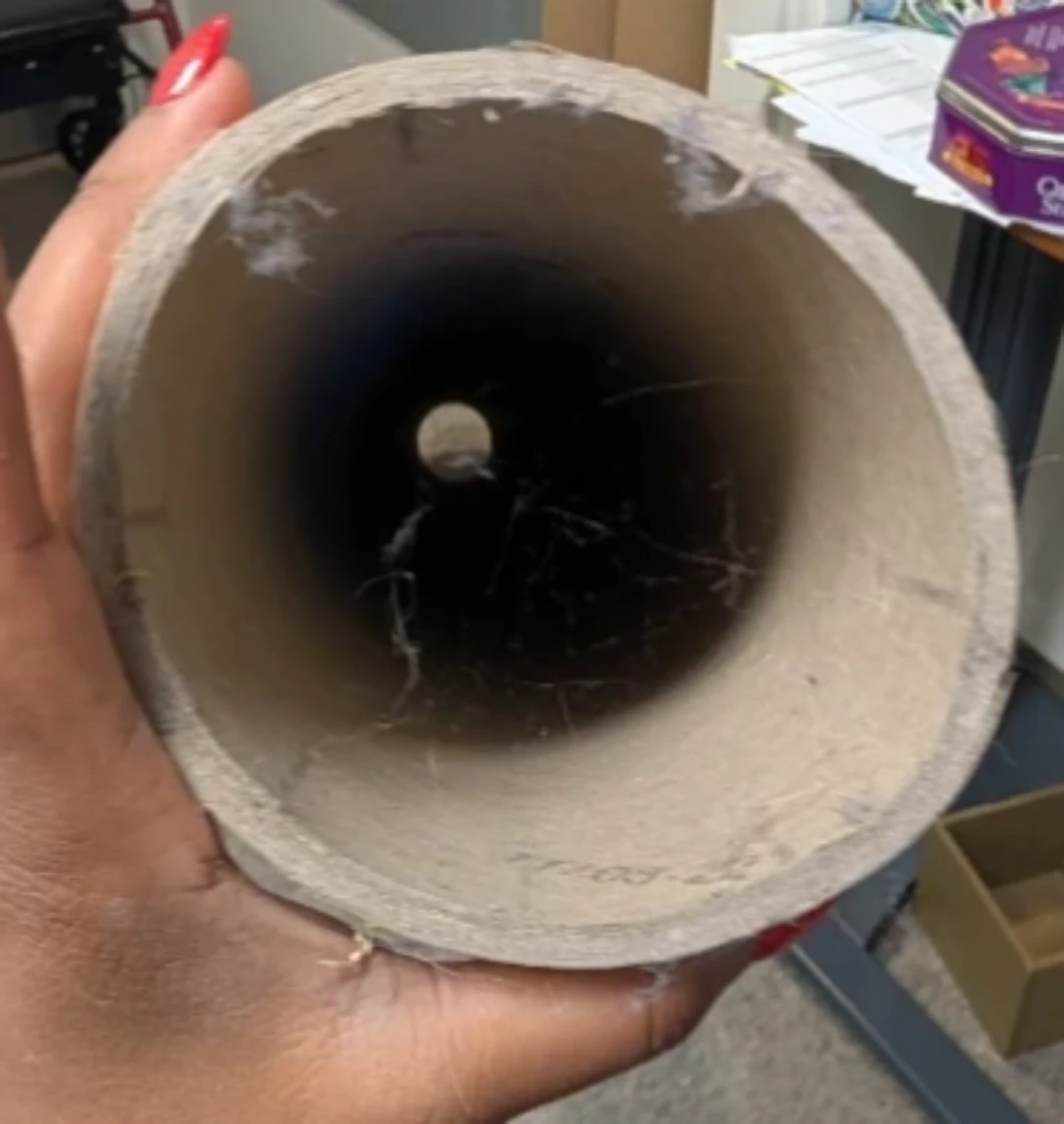 Cardboard Tubes Lot of 3