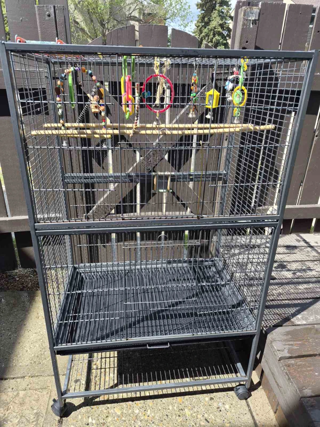 Bird Cage