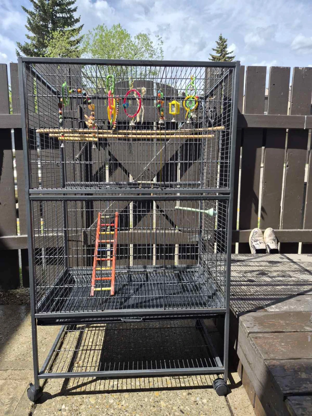 Bird Cage - photo 2