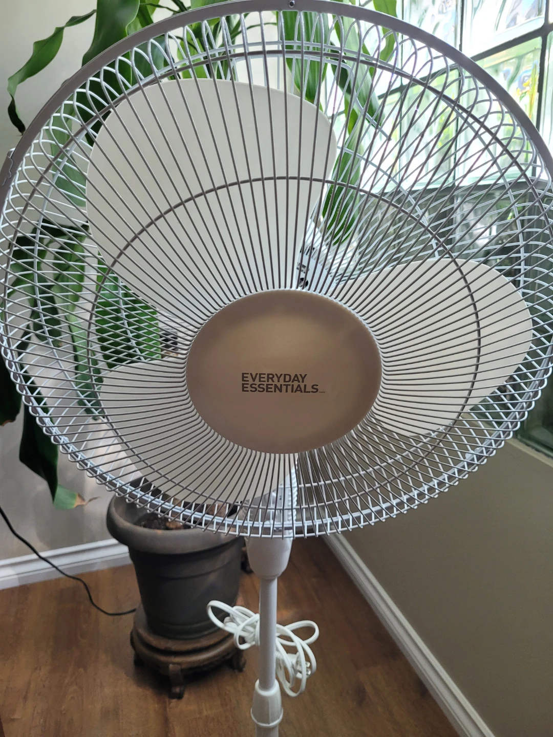 Fans