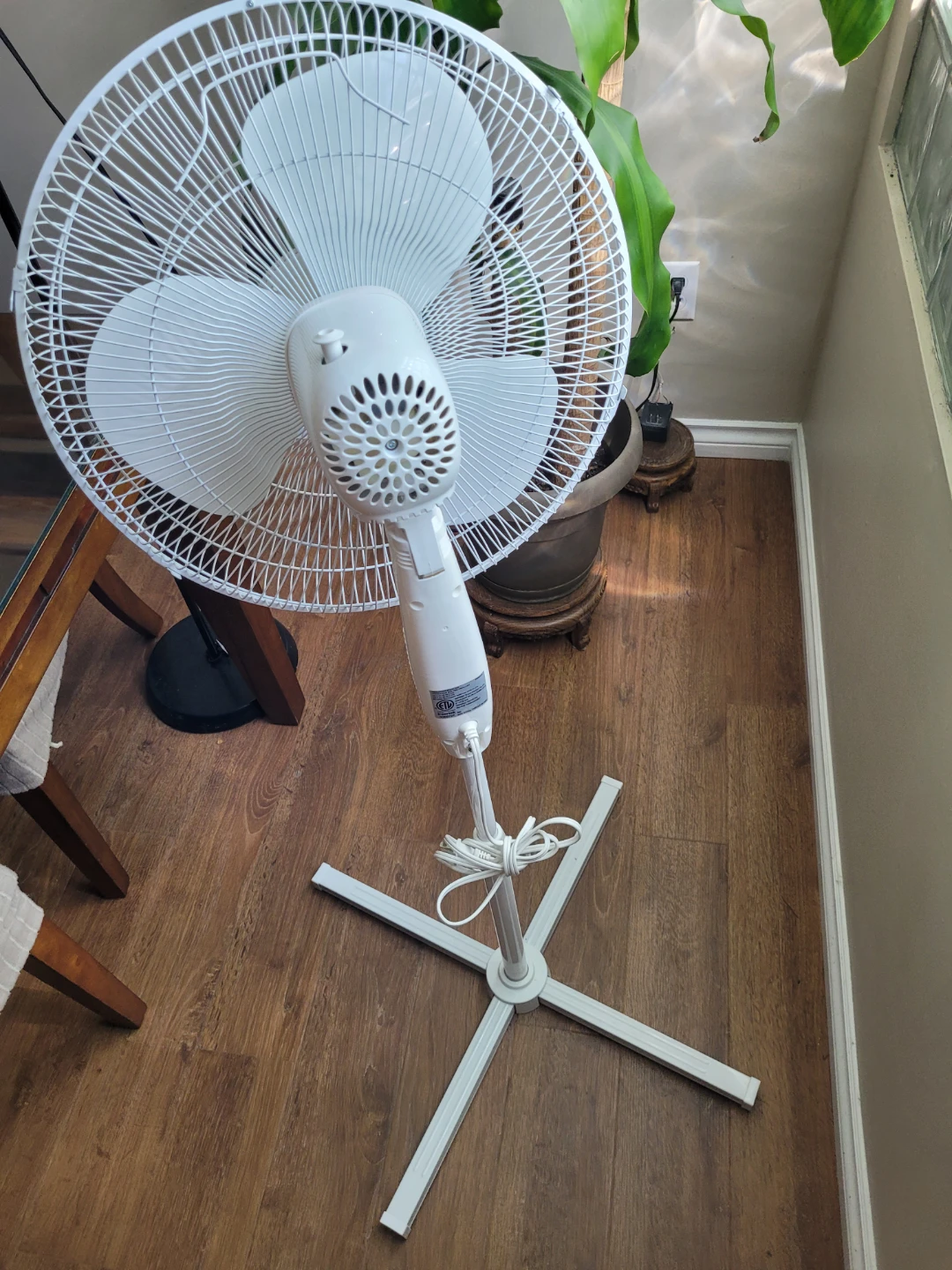 Fans - photo 3