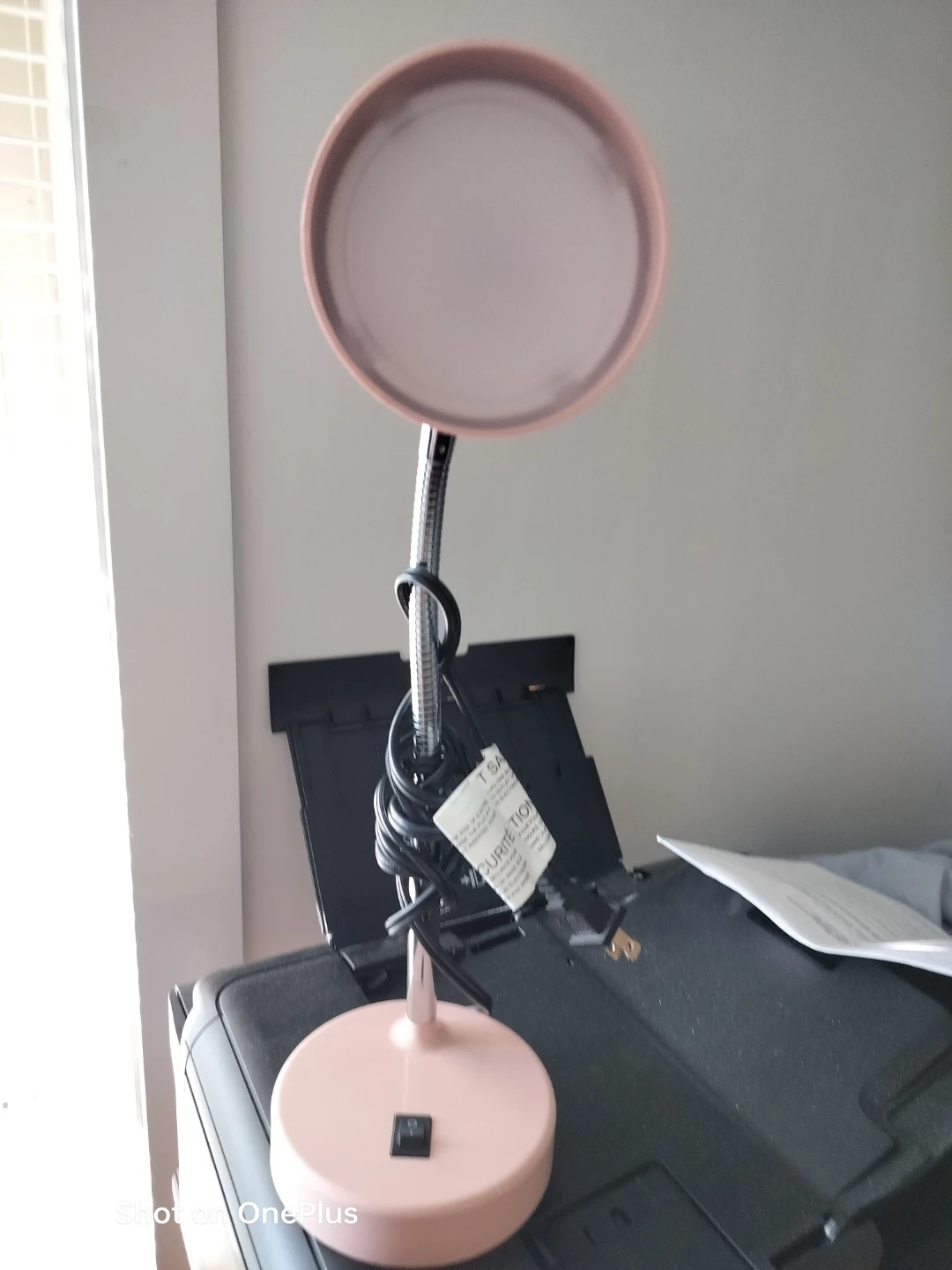 Pink Desk Lamp with Flexible Gooseneck
