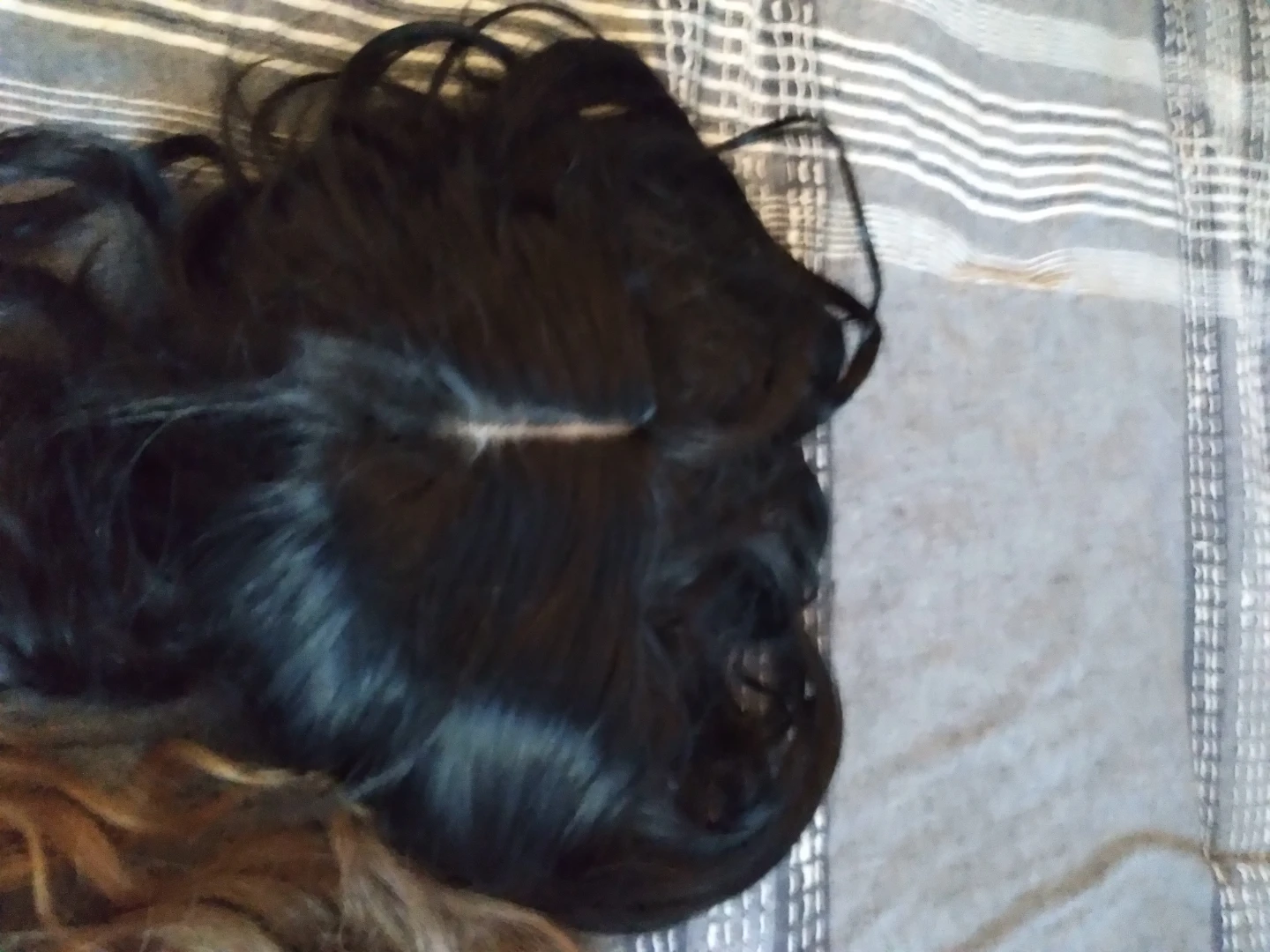 Black Curly Wig