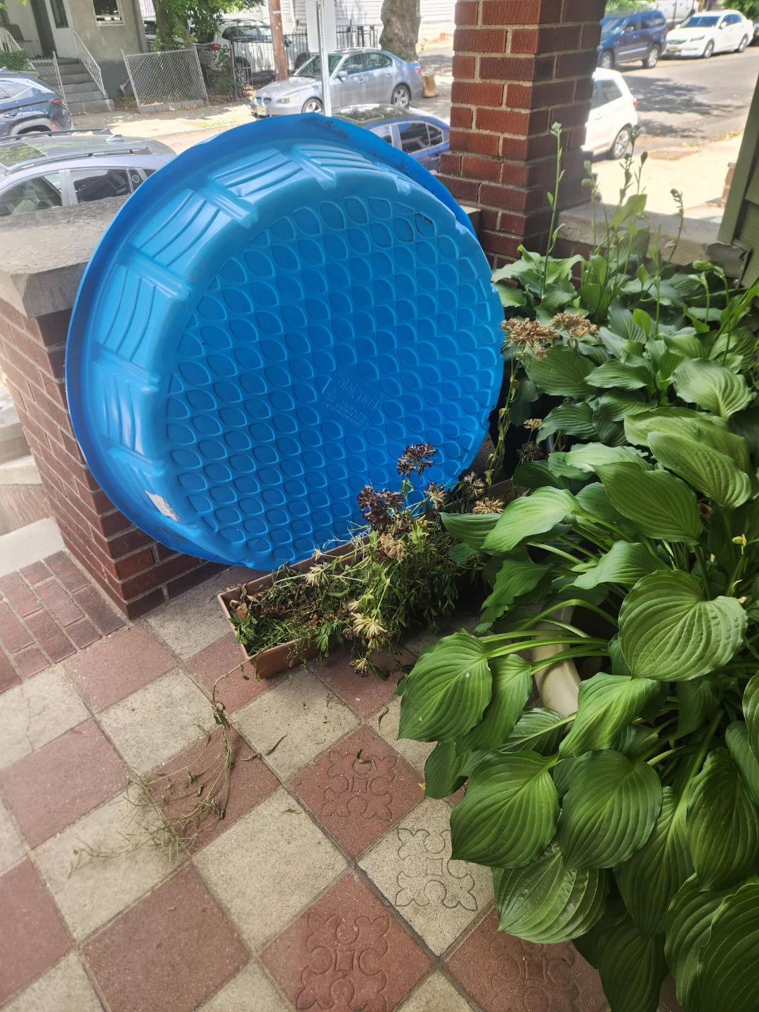 Blue Plastic Kiddie Pool 60" ⚽ - photo 2