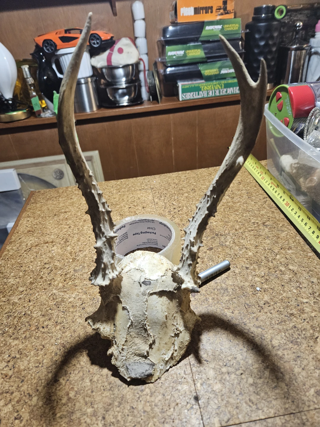 Deer Antlers and Skull Mount - photo 2