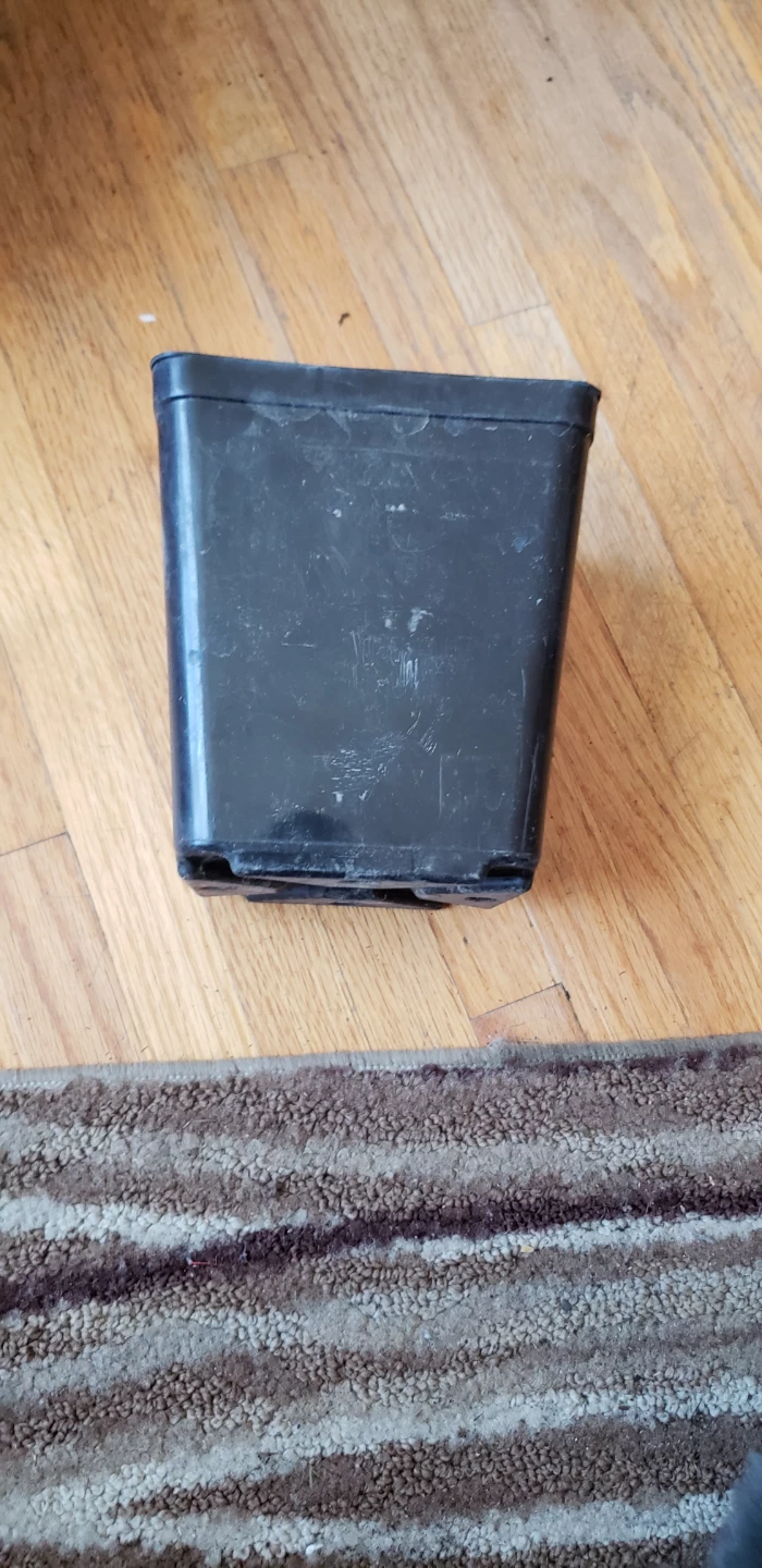 Black Plastic Plant Pot Used 6" - photo 2