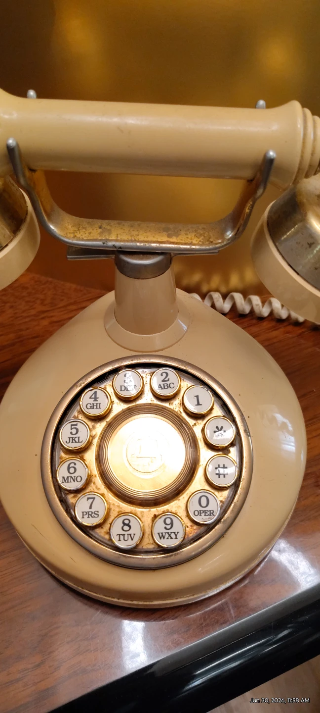 Rotery French style Home Phone - photo 2