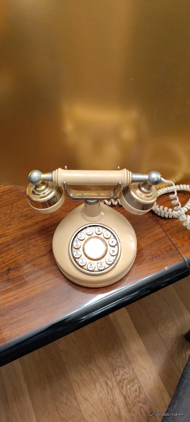 Rotery French style Home Phone - photo 3